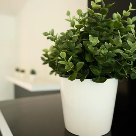 Balcobo Villas&cabanas アパートホテル 4*