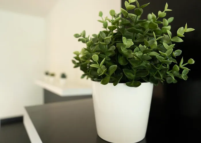 Balcobo Villas&cabanas Aparthotel 4*